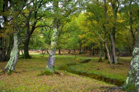 喜乐娱乐官网入口：探索无限可能的游戏世界，体验精巧画面与超高可玩性